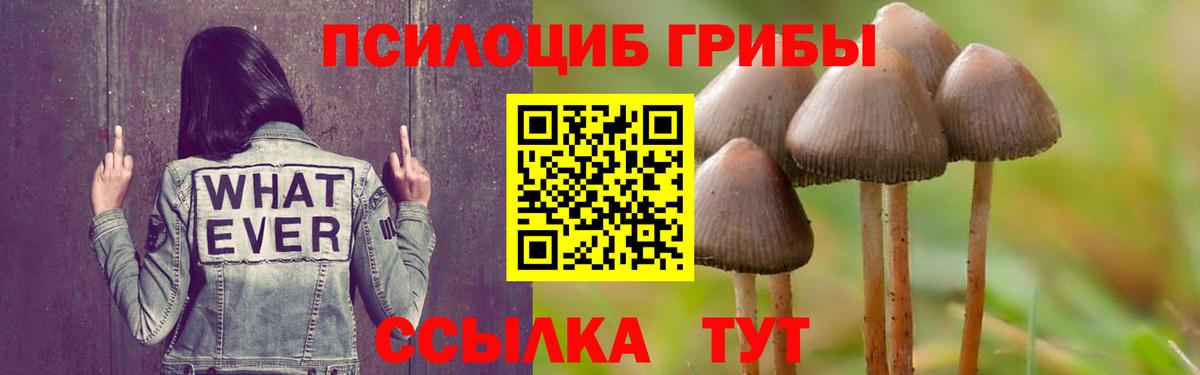 Топки  Псилоцибиновые грибы Psilocybe  Вход с VPN 